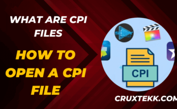 What are CPI Files